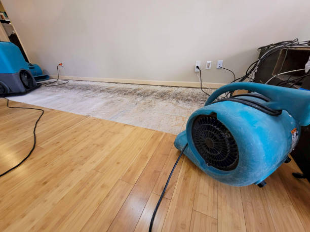 Professional Basement Flood Cleanup technician working in Huntington, WV